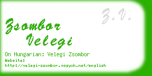 zsombor velegi business card